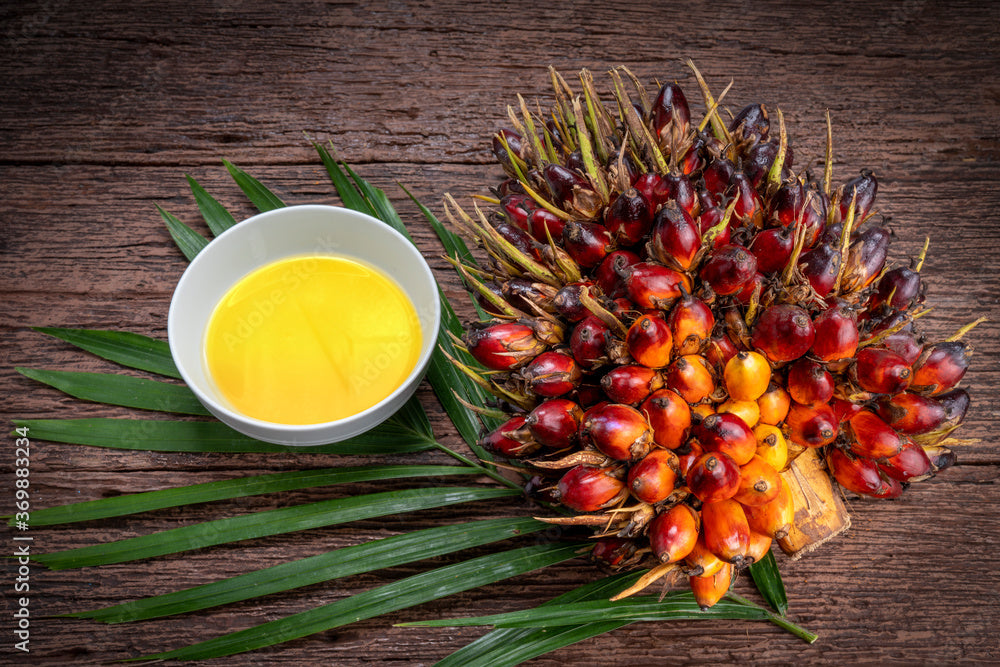 Natural Palm Leaf Glaze & Palm Oil